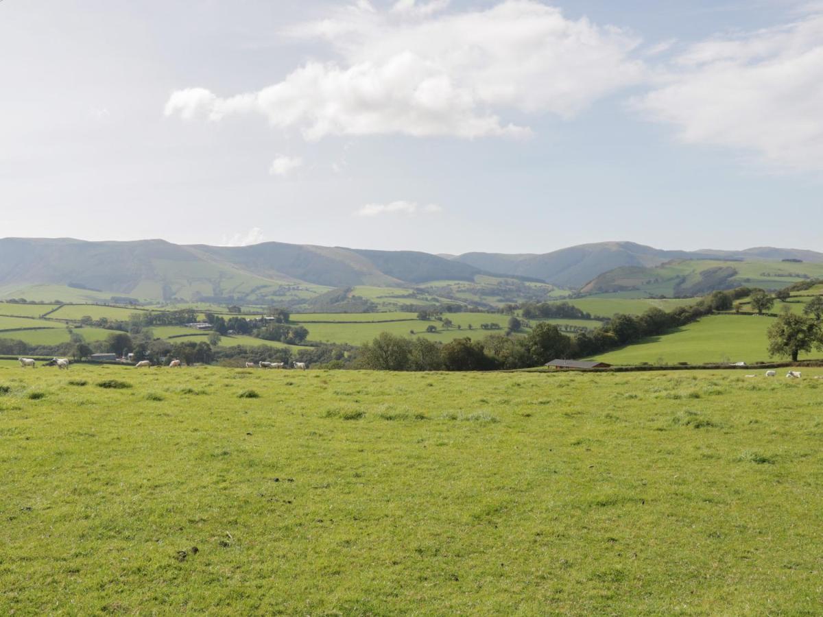 Holiday home Bryn Eiddon Log Machynlleth